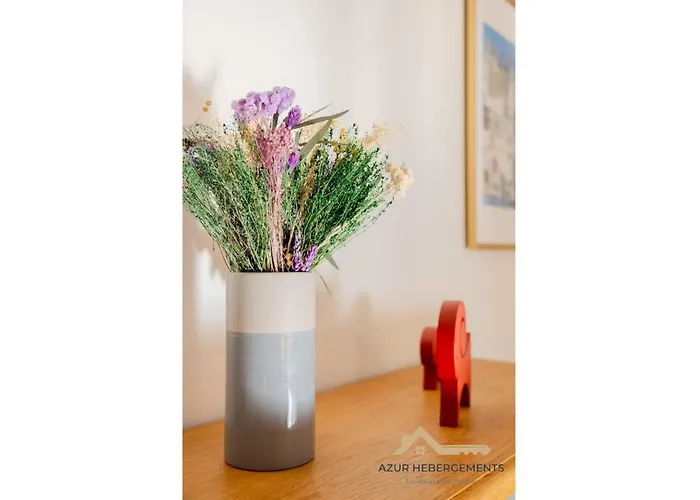 Appartement Centre 4 Pers, Terrasse Parking Cagnes-sur-Mer